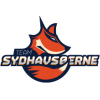 Team Sydhavsoerne
